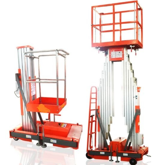 Double Mast & Single Mast Platform Lift