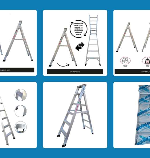 Dual Purpose Ladder